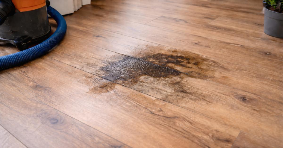 Water- of vochtplek op vloer in woning door vochtproblemen